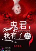 从亮剑开始搞军工